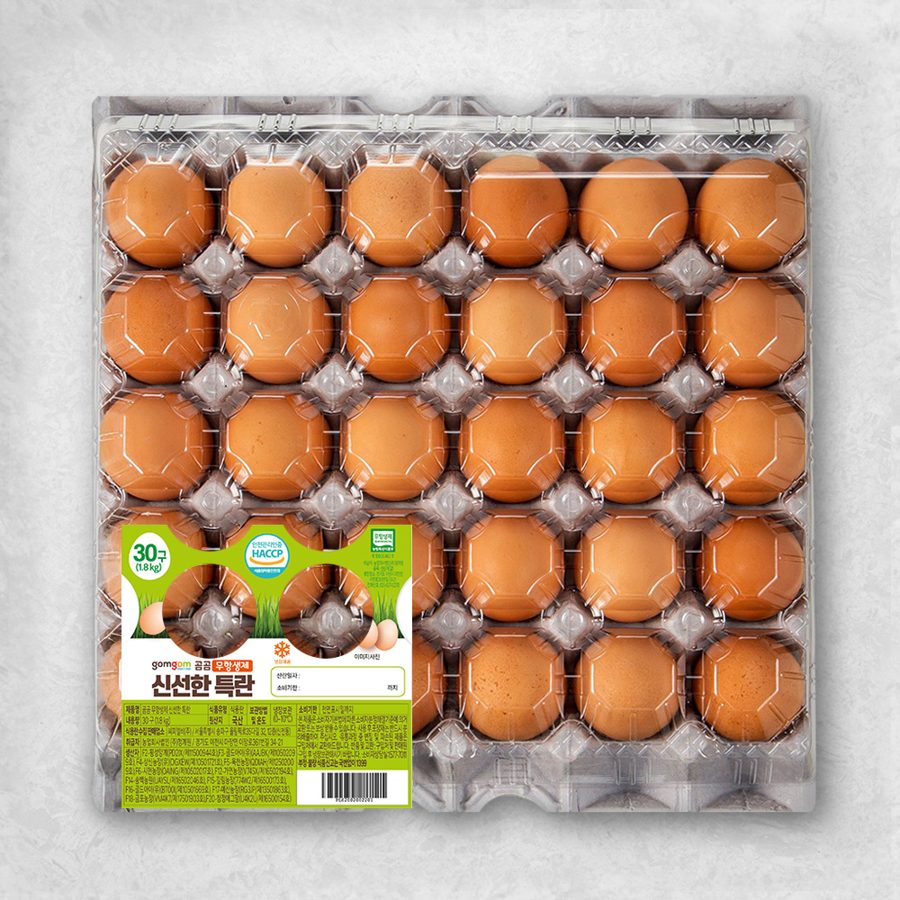 곰곰 무항생제 신선한 특란