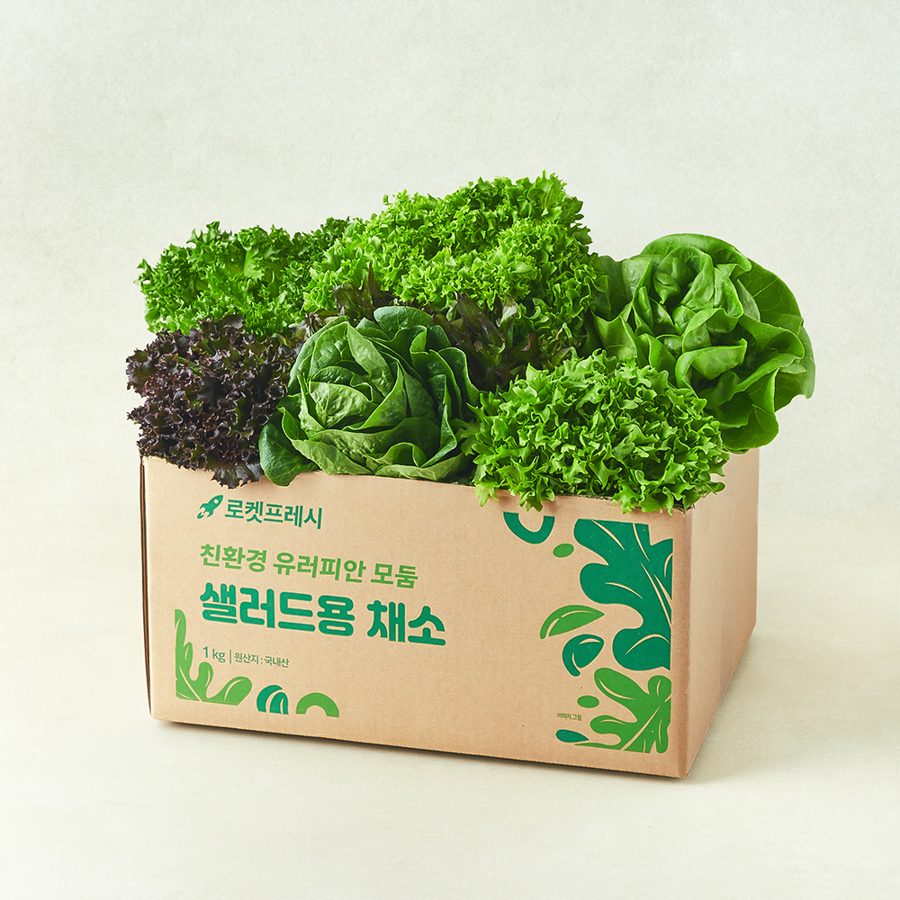 친환경 유러피안 모둠 샐러드용 채소